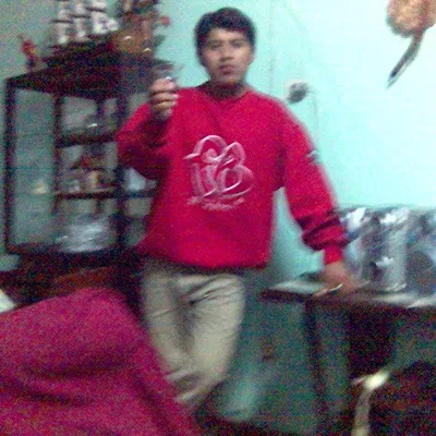 david